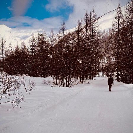 Апартаменты Caldo Rifugio Con Giardino In Pieno Centro Курмайор Экстерьер фото