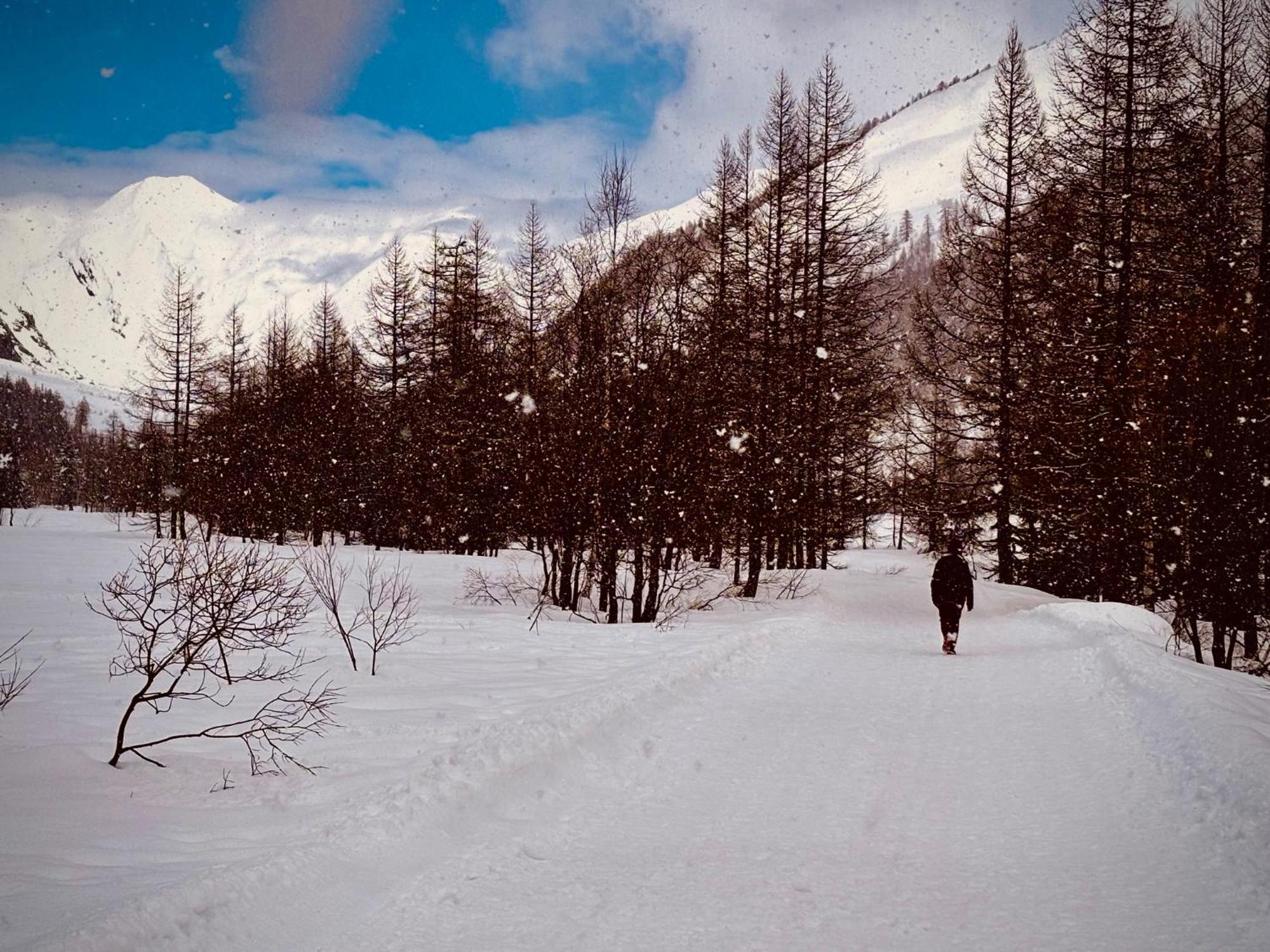 Апартаменты Caldo Rifugio Con Giardino In Pieno Centro Курмайор Экстерьер фото
